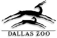 Dallas Zoo